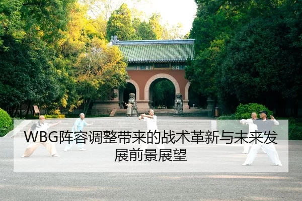 WBG阵容调整带来的战术革新与未来发展前景展望